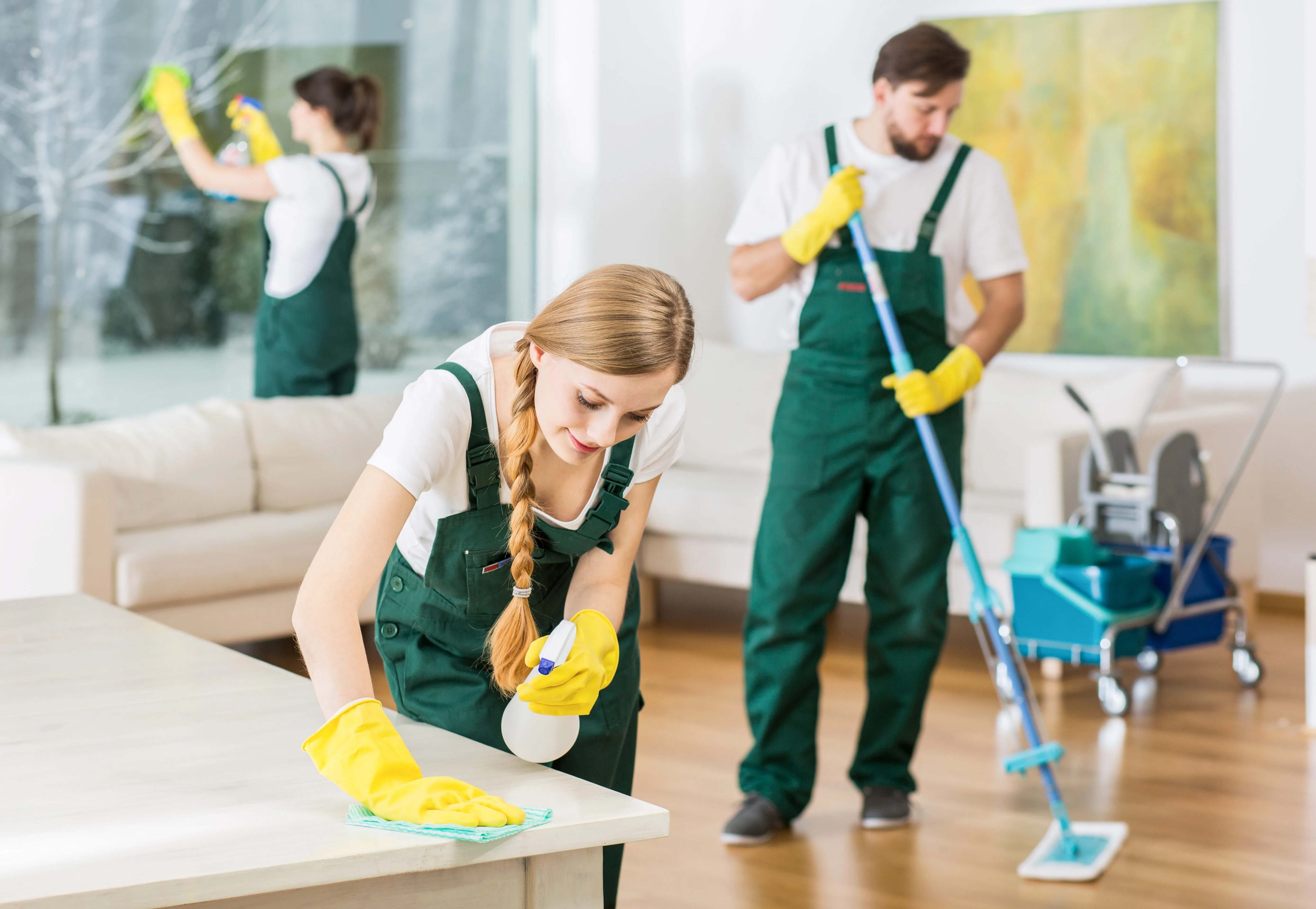 residental cleaning service Evansville